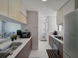 Dakota Residences (D14), Condominium #587683311